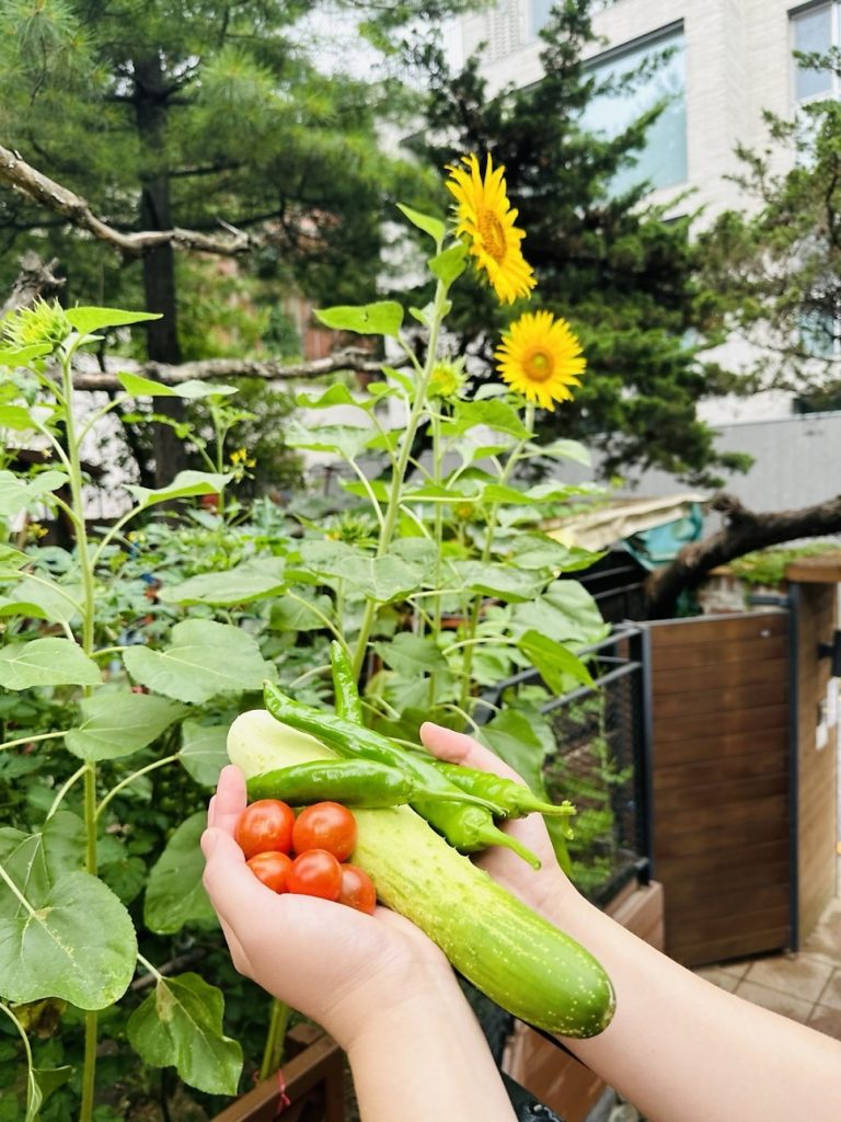 자연과 가까이 만나는 정원 활동